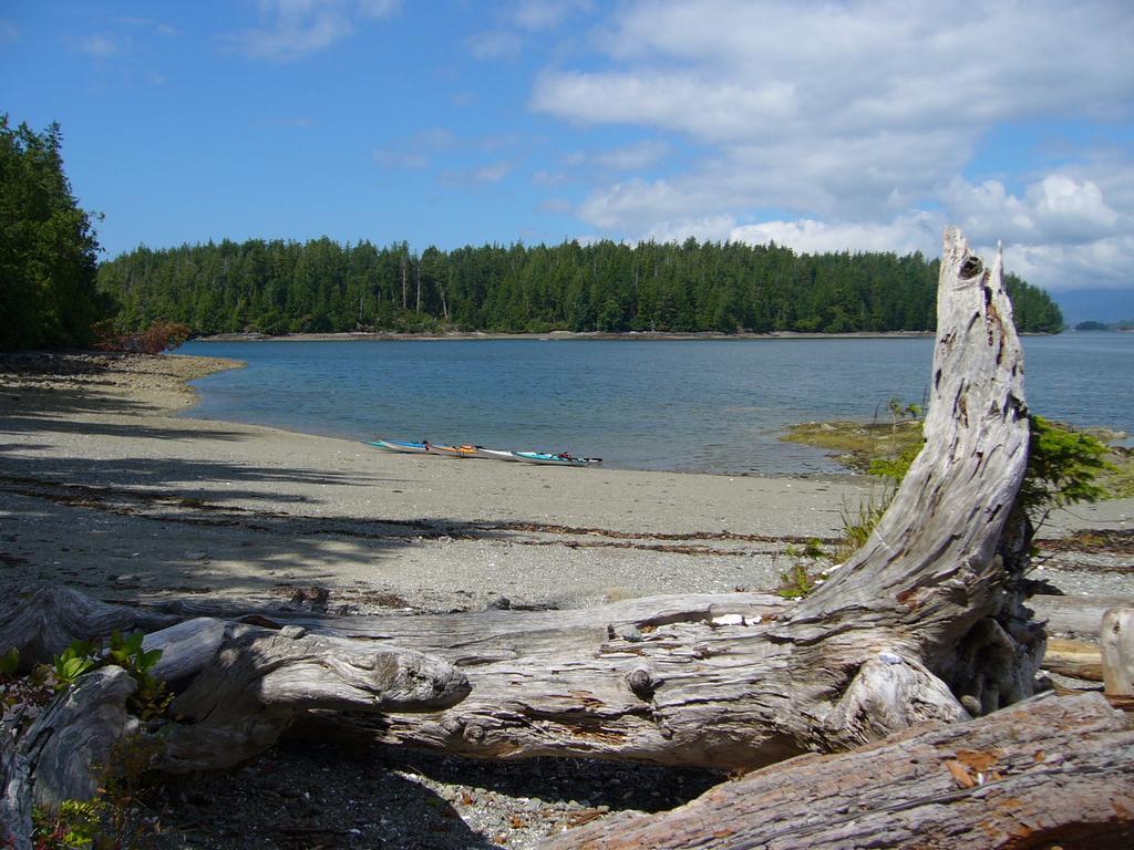 203 At Water'S Edge Διαμέρισμα Ucluelet Δωμάτιο φωτογραφία