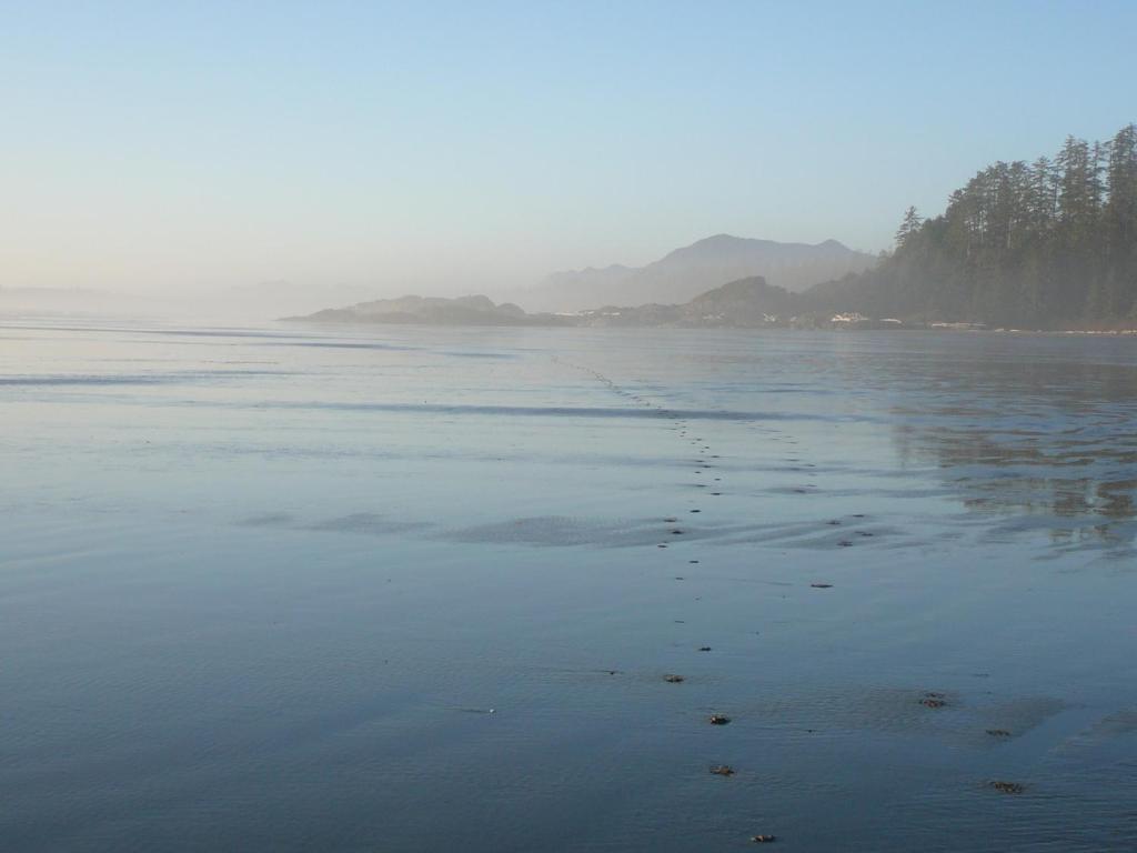 203 At Water'S Edge Διαμέρισμα Ucluelet Εξωτερικό φωτογραφία